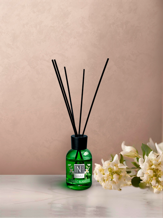Diffuseur d'arome musc blanc In canto.
